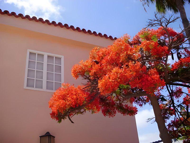 15D63A2F7582602F264002D4119EC095