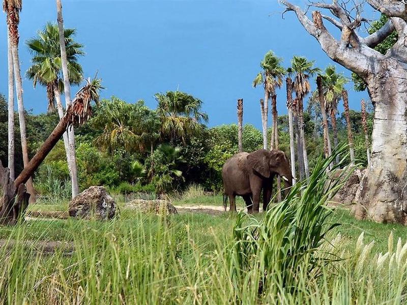 8F53A31A83774D65E557D271FCDE54C8