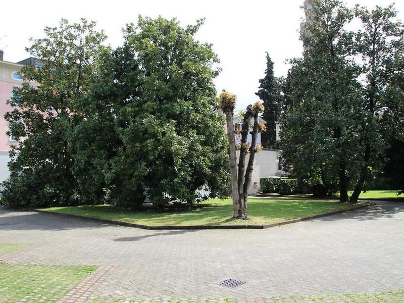 50C6464209B5E35C15083CF1C00F2395