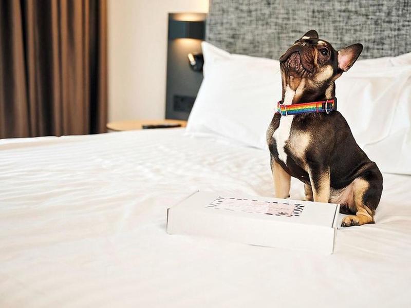 CDD7D16DBB24EE766CFA9A0E6E90A21A