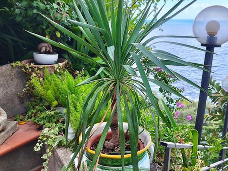 61256A28F133C11CDA5A717C771B9933