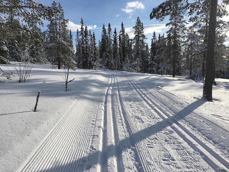 92DE94537022FD7763F1EFD4C13362A2