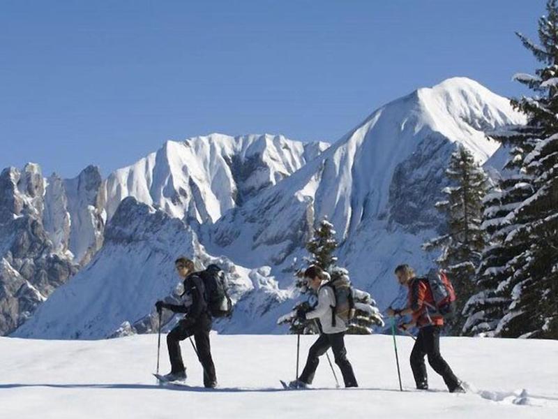 BF55D695C525BC7ACE31A6CFDEBC13E7