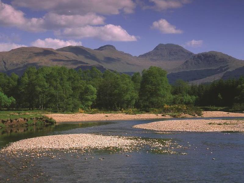 029FE36C046C5B449EB3514D4FD93B16