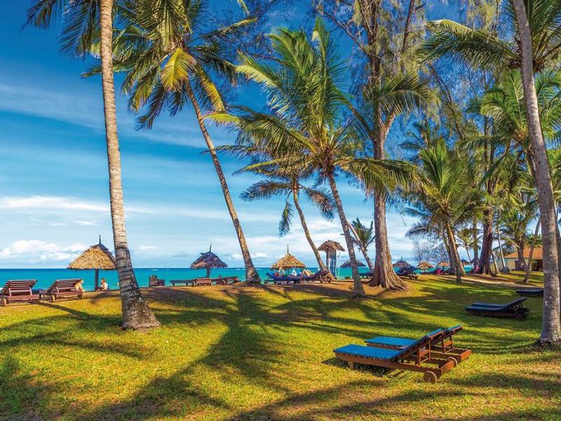 D229BBFB1E3244E49F83AA1BDD74F047