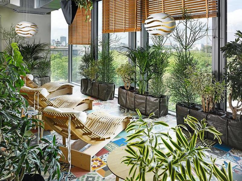 486154FA8131E35F4CF0C82D43FABBB5