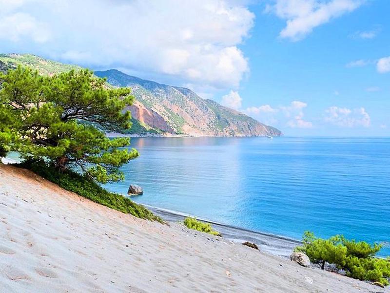 80D60A497F1CF9F033B62B7A5A39134A