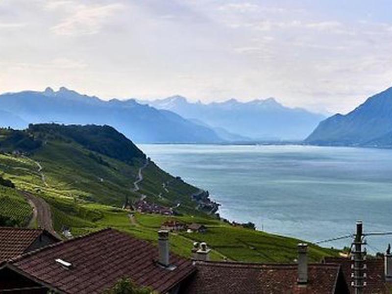 DAC5E705491B4E5119B50D32284E4E4F