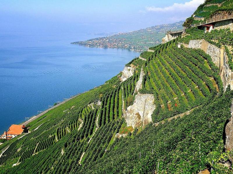 8D3E5B38FCEE7524F0BD40CFF3F6C11B