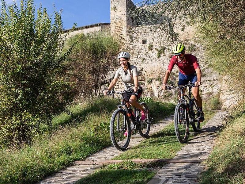 41869CFE37089282B37894BDDBB71052