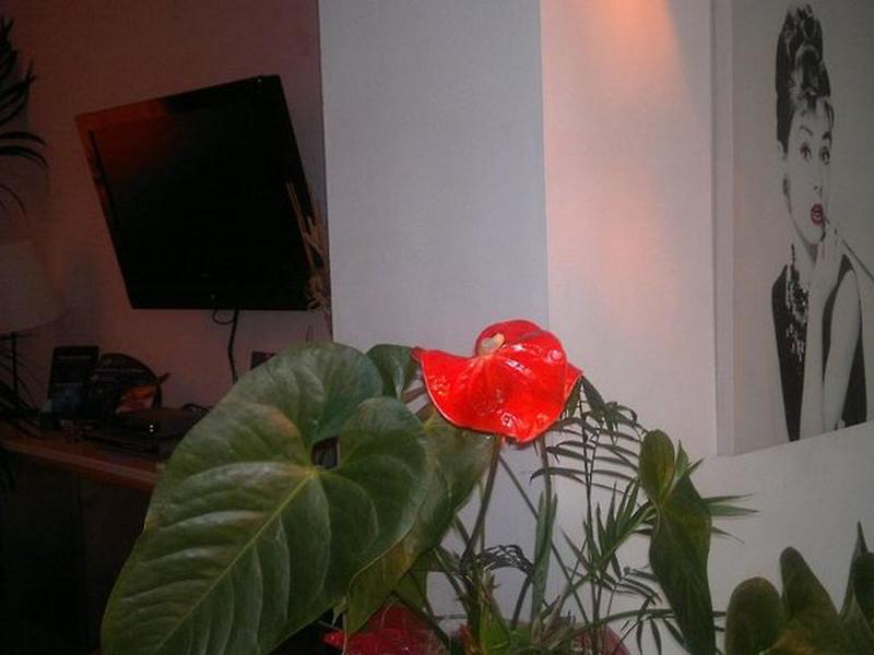 32458EE82F2825031B64FD24DB3DE54D