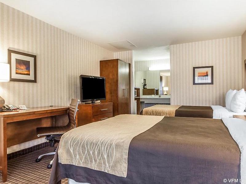 80084A3A75DB6B61E899A4CCAF2622A8