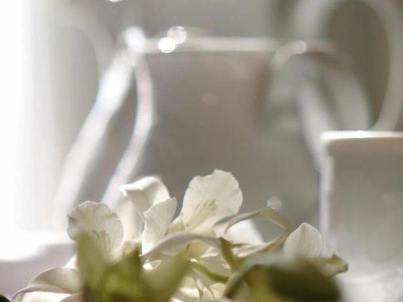 529B65383E4CFD85B80058DCD4B294F1