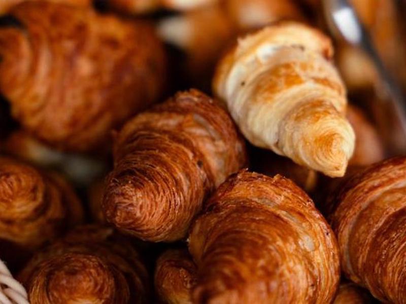 239A16DB7E19437989616F492BE1A8E7