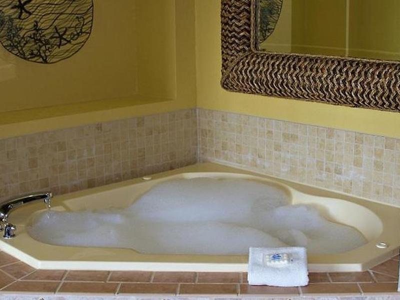 23659552ACE48E66B176C3B0D5D02EA6