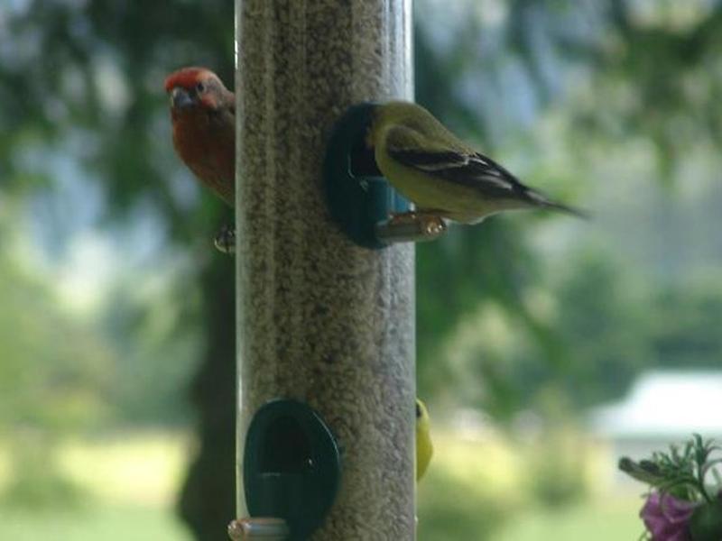 D3A08C78519C7820691111C2F692A2AA