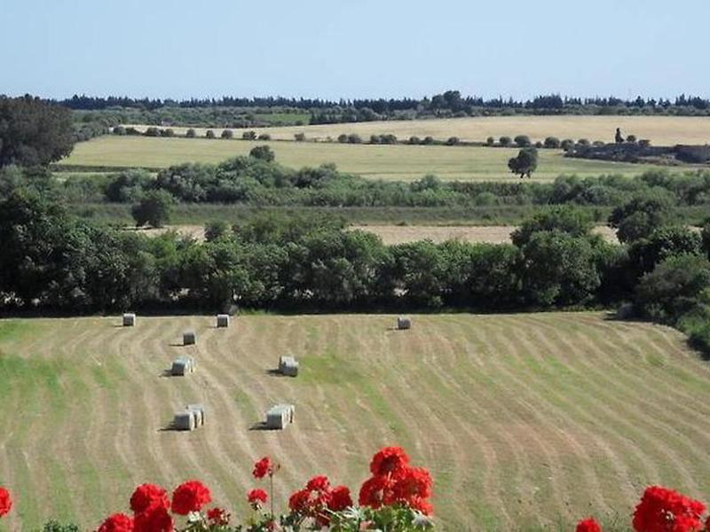 8305F7831A1E22830E0EE1CE8CC2E7A5