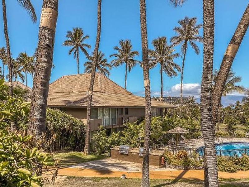 DB98DCC9311619346E703B4B7FA28257