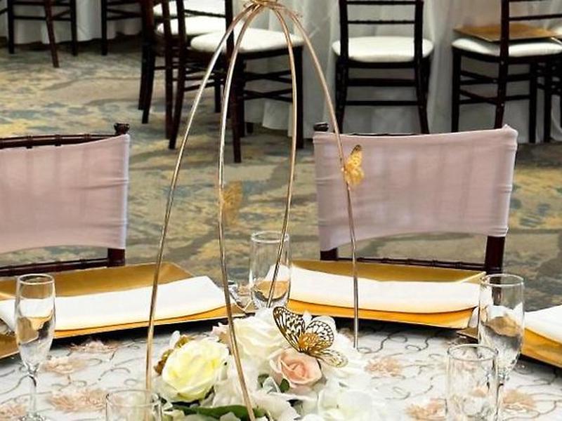 215CCAACCA143F4CC5F881633724C315