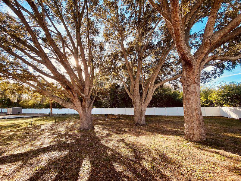 A450BEC363448D3C8BDBD45AFFBDE078