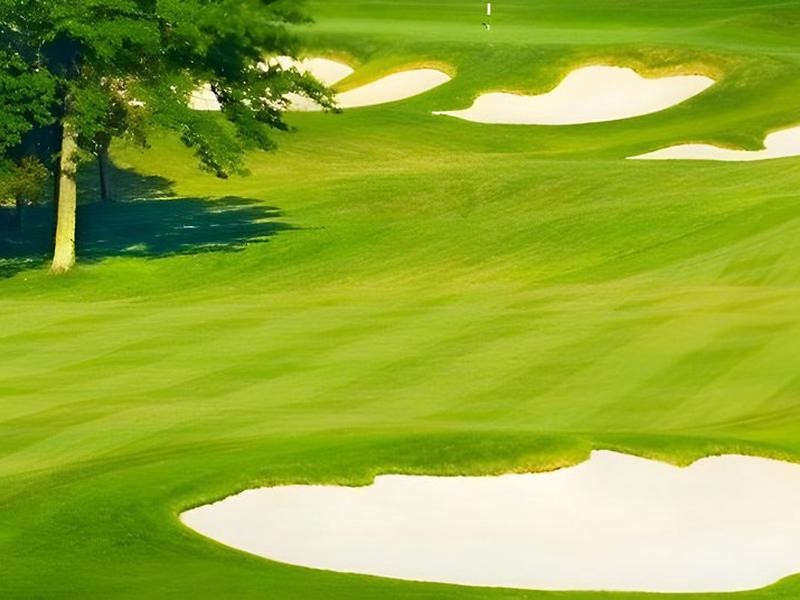 E05993F7411D75F4A1F4C264B0F8C8B3