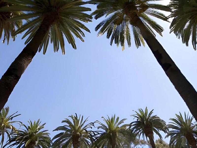 1C8955F02721AFB8E505B56A7A88BE35