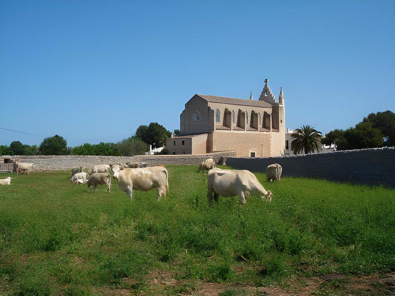 68BDB06A344043D5033E28F1EF762443