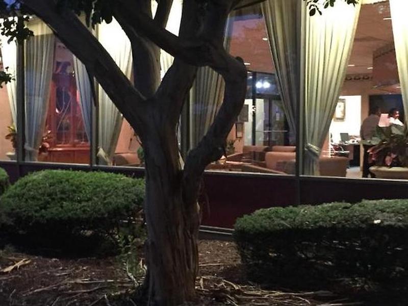 8773671CAF815D91F6DC97EF233EBC66