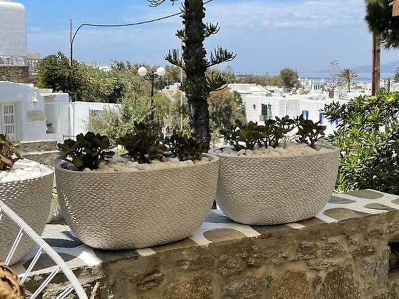 F2BD8CA31CB5901A7038F376DE1D66E8