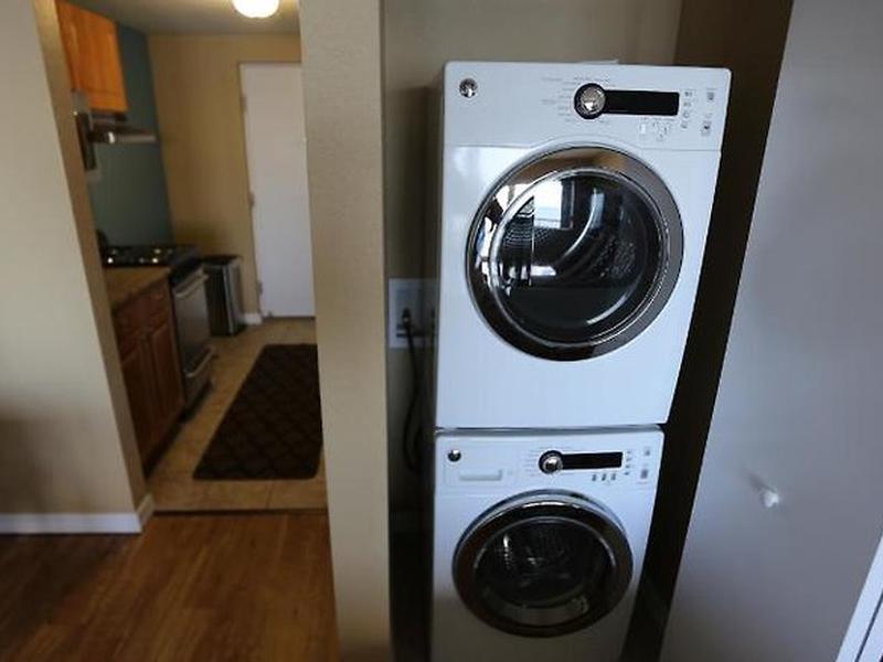 80453BF09F44E3B494768285B5719107