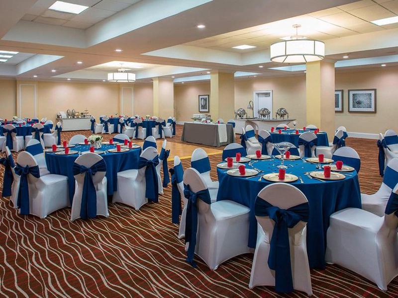 014DD6C6556F5C393C2552A67146E971