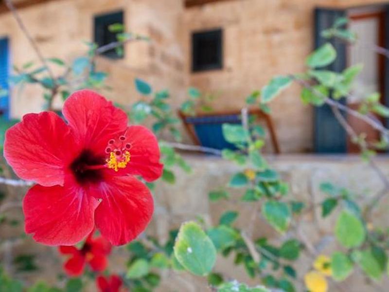 1B8394FA09EA40AEB3A74C05B3765479