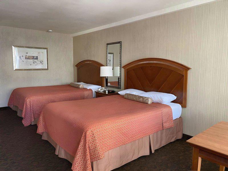 D589821C51683D94A71041610EA7FDF3