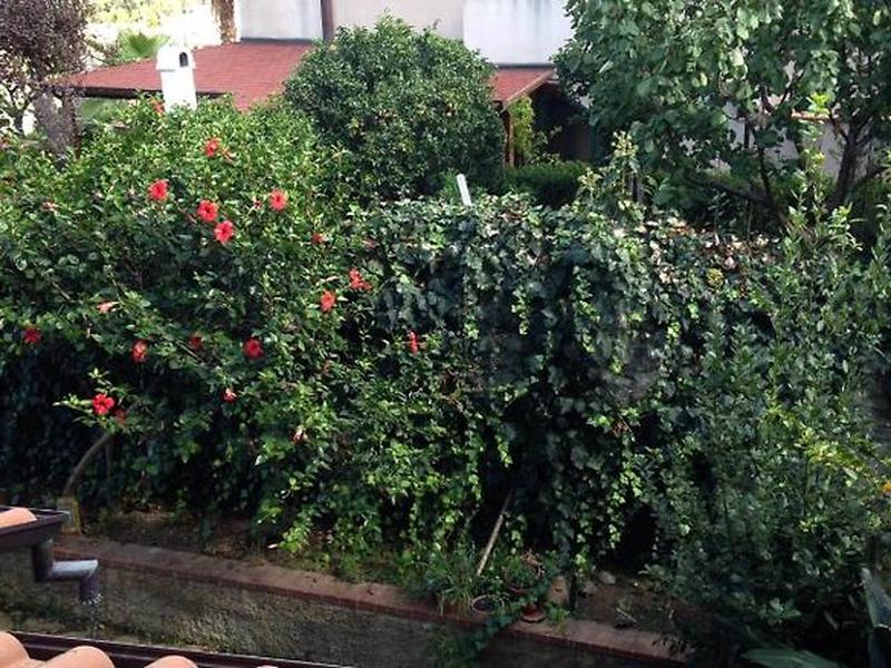 5C67BD1202C1809A3B158DB0D38E6793