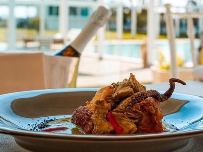 2087A3B970089357E1F60492B73D70FE