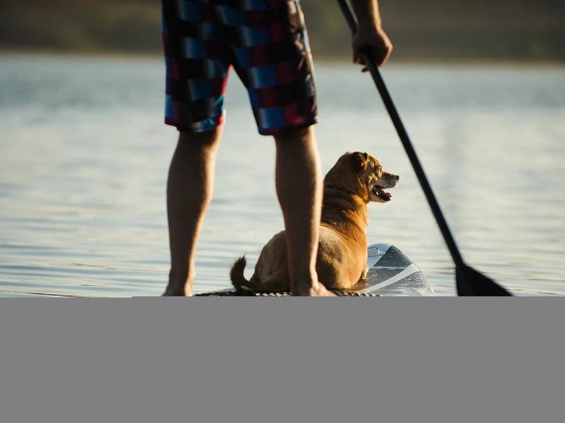 CAE2E373A06E36E9F7E7420DF697FEBF