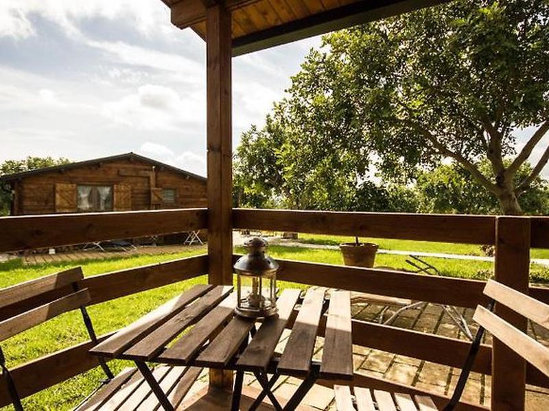 CB3618CC1A61CCC5262D64D7D0C88802