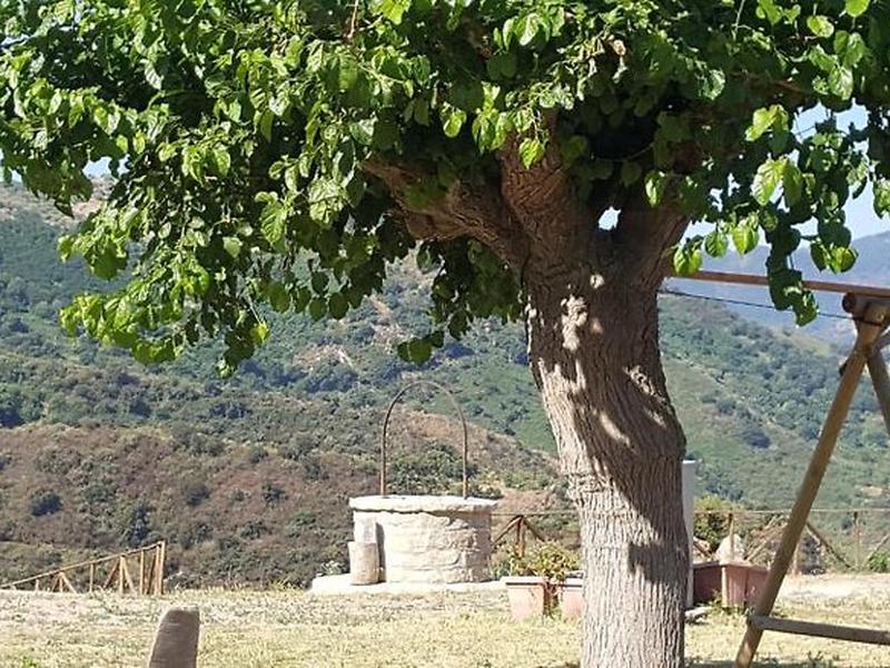 2EDE594D34B928021280D45574AC59AB