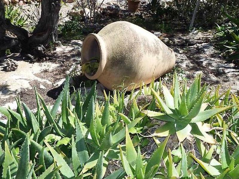 CFFDD2713188A720F1AC9D2D9C56EDA1