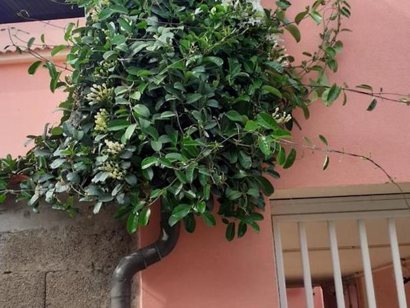 8C12326FF75762D4256021DAF2F7C15D