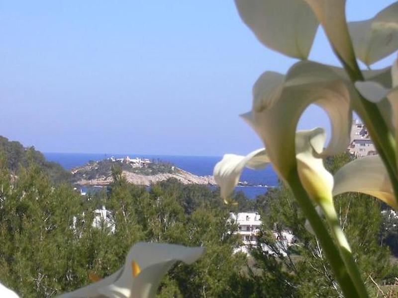 0F238595FF43895471FFCD96FBBCE189