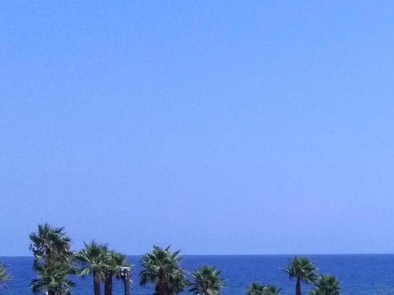 B63E51B9897F164D2F57167ABCC4F035