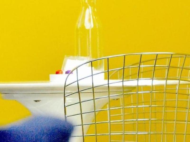 AA1395E2ABCCCC96F58D5FCA7D694E21