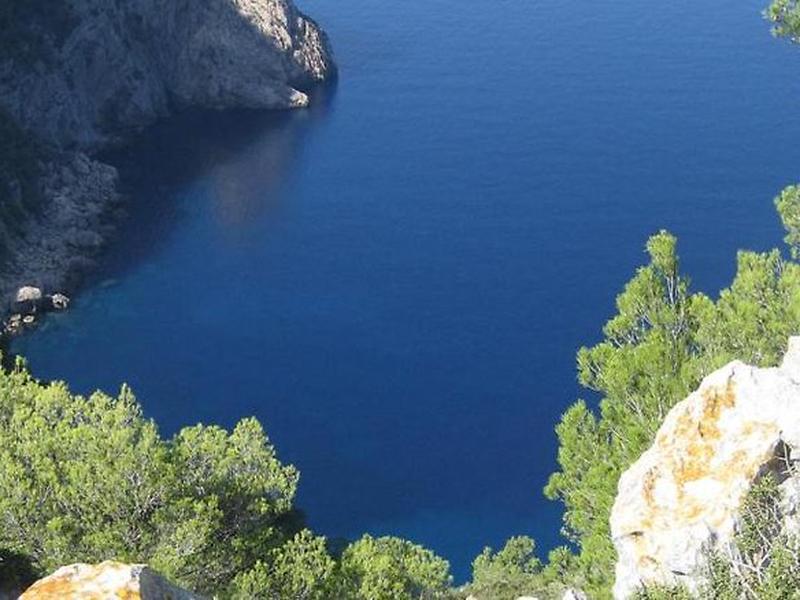 A38D539BABF56E02C223E9A79EB93C50