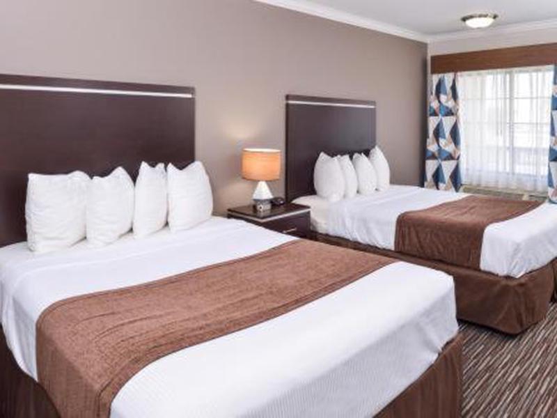 2568A9DC1DD9864E29C01CFD96AD5E6F