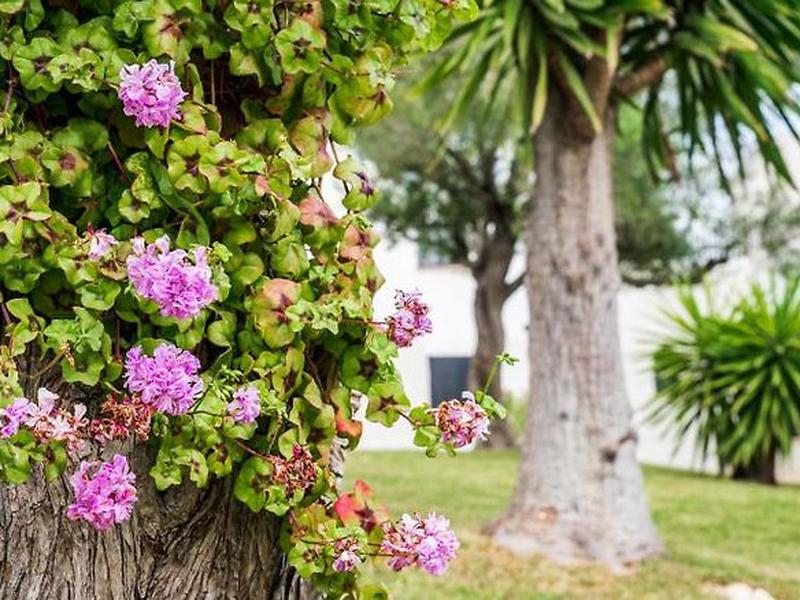 137C053A850FAA9E50BB2611DA8D09AC