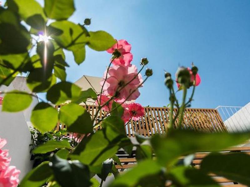 F829C6C140DD7DB172644A8C81E2301E