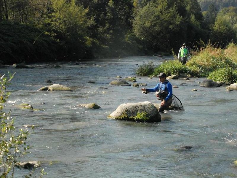 79807C035F1F5A58C8CB77399887F1FB