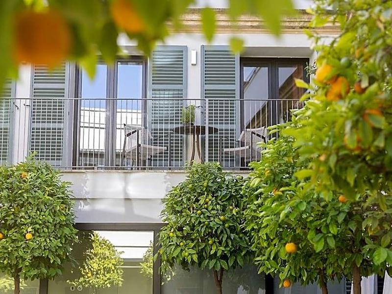 01C9E6206645B3A32E5559809D907FC9