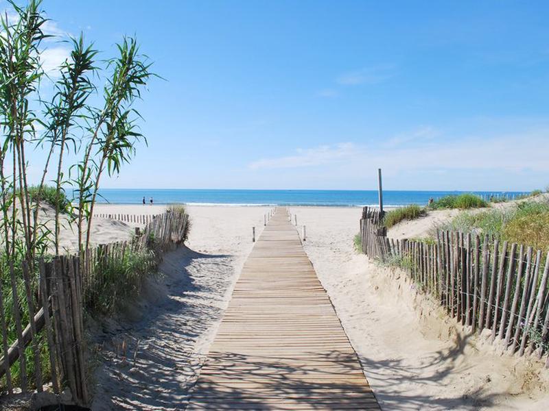 8CAB5DDD38E855FC5E204A6A6579A979